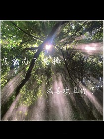 怎么办？搭挡，我喜欢上你了