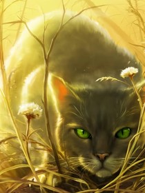 猫武士第一部曲一一寒冰降临1