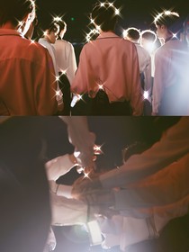 TF家族三代：蝴蝶帮
