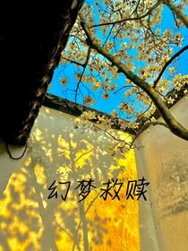 幻梦救赎