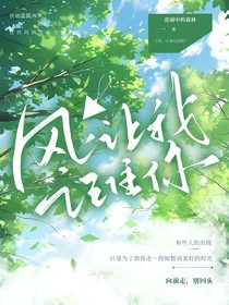 风，让我记住你
