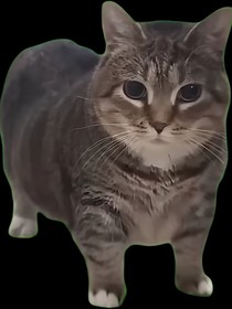 书名正在修改1749374574062245349
