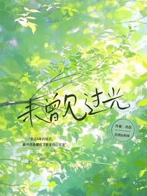 未曾见过光