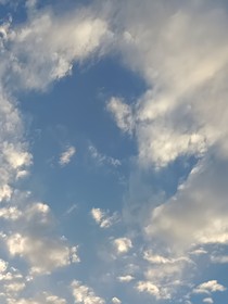 等归竹