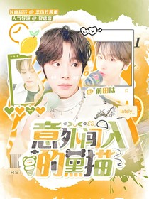 前田陆：意外闯入的黑猫