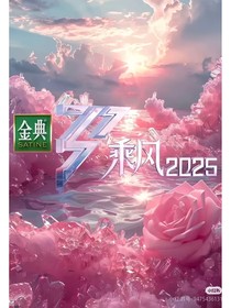乘风2025（改编）
