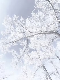 仅限于你——与你
