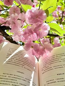 少年盲盒里的光