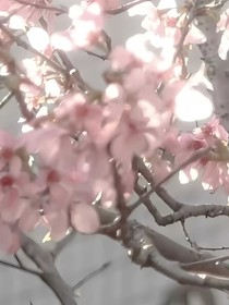 破碎殘頁