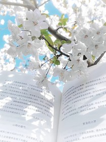 重逢未拆封的夏天
