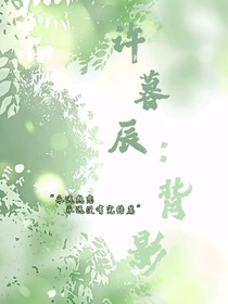 许暮辰：背影