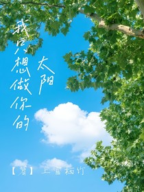 如果可以我只想做你的太阳