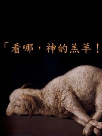 看啊，坠落的墙！