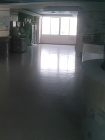 月光与樱花