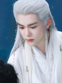 综影视：她过分美貌
