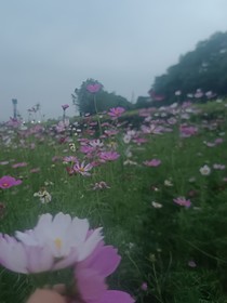 那些年，我们在学校的恋爱时光