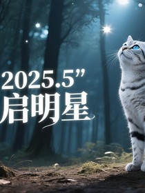 猫武士BELIEVE