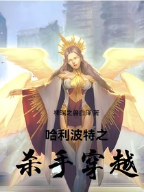 哈利波特之杀手穿越