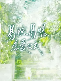 易燃易爆恋爱公式