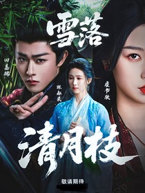 综影视：雪落清月枝