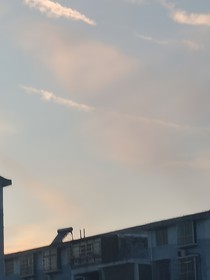 朱阁权谋录