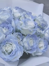 我们好不容易