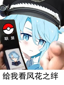 神奇宝贝：风花之绊