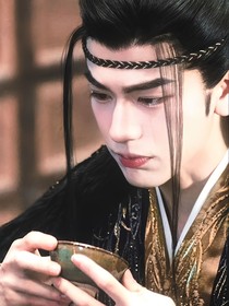 综影视之晔晔如扶桑