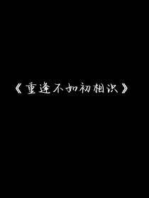 重逢不如初相识
