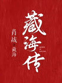 藏海传：我本无名（盗墓系列）