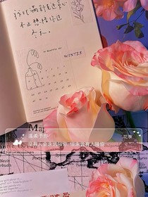 烬雪成霜