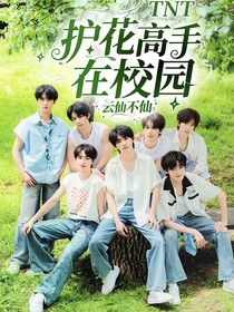 TNT：护花高手在校园