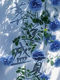 葬送盛夏