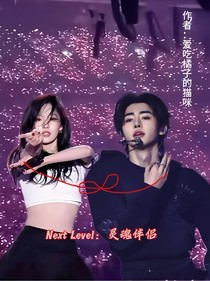 NextLevel：灵魂伴侣