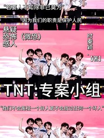 TNT：专案小组