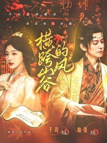 大偵探9：橫跨山谷的風(fēng)