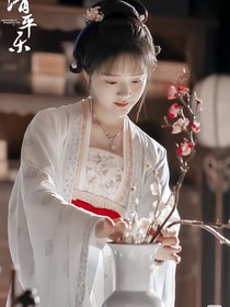 知否知否之嫡女風(fēng)云