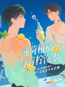 薄荷柑橘与青柠汽水