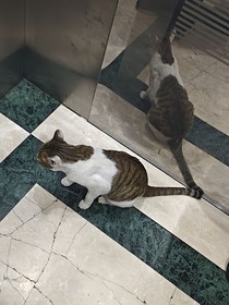 食骨：断生死