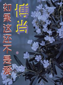 如果这还不是爱（博肖）