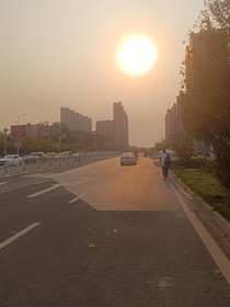生根發(fā)芽再枯萎
