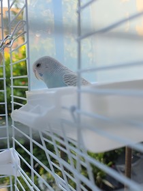 浮生错爱