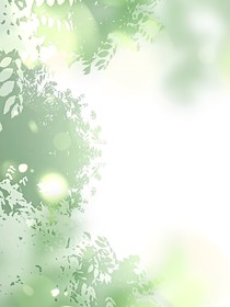 绝世：海棠烬
