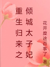 重生归来之倾城太子妃