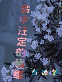 命中注定的情缘肖臻梦