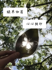 绿草如茵，心心相印