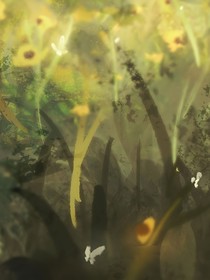 kk的幻想日记