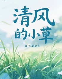 清风的小草
