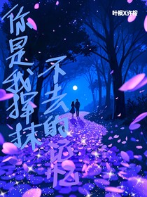 你是我挥抹不去的记忆