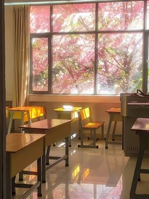 永恒仲夏